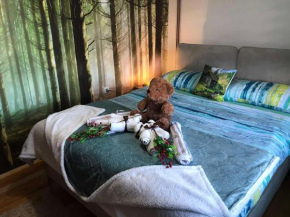 Apartman NINA Zlatar #1